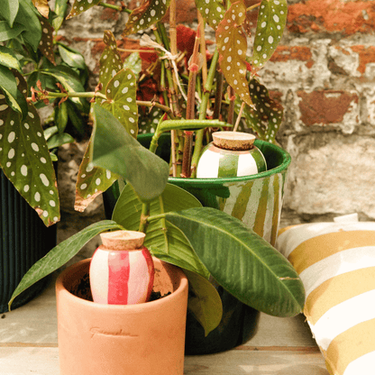 Pepin Mini Ollas, Green & Red Striped
