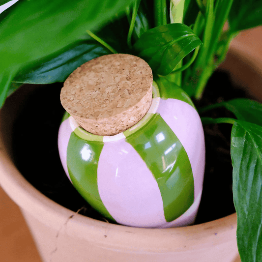 Pepin Green & Lilac Striped Olla in Plant Pot