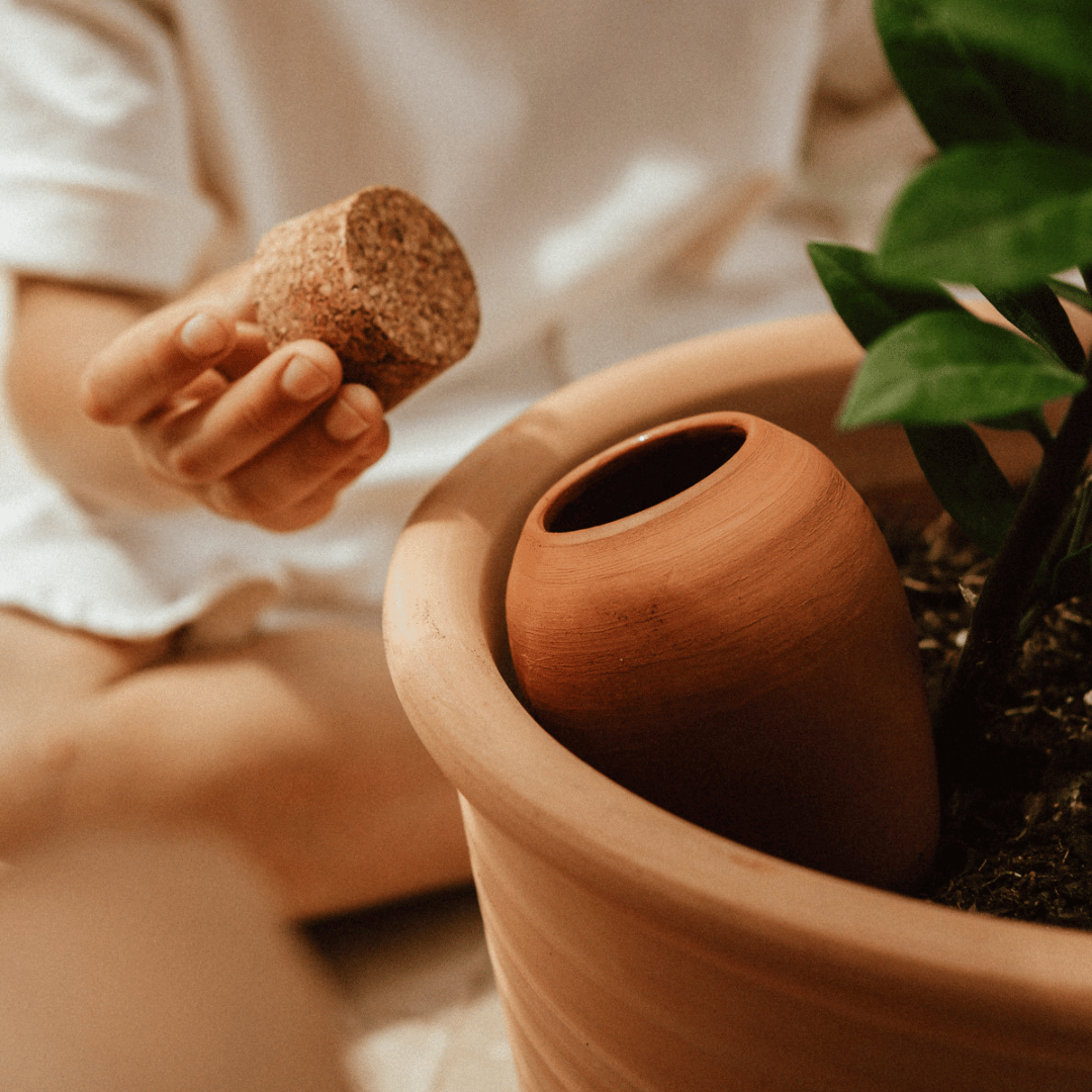 Terracotta Pipin Olla with Cork Lid