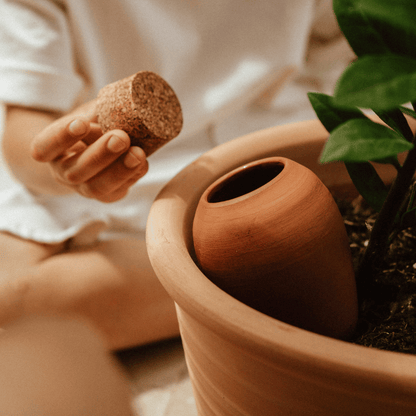 Terracotta Pipin Olla with Cork Lid