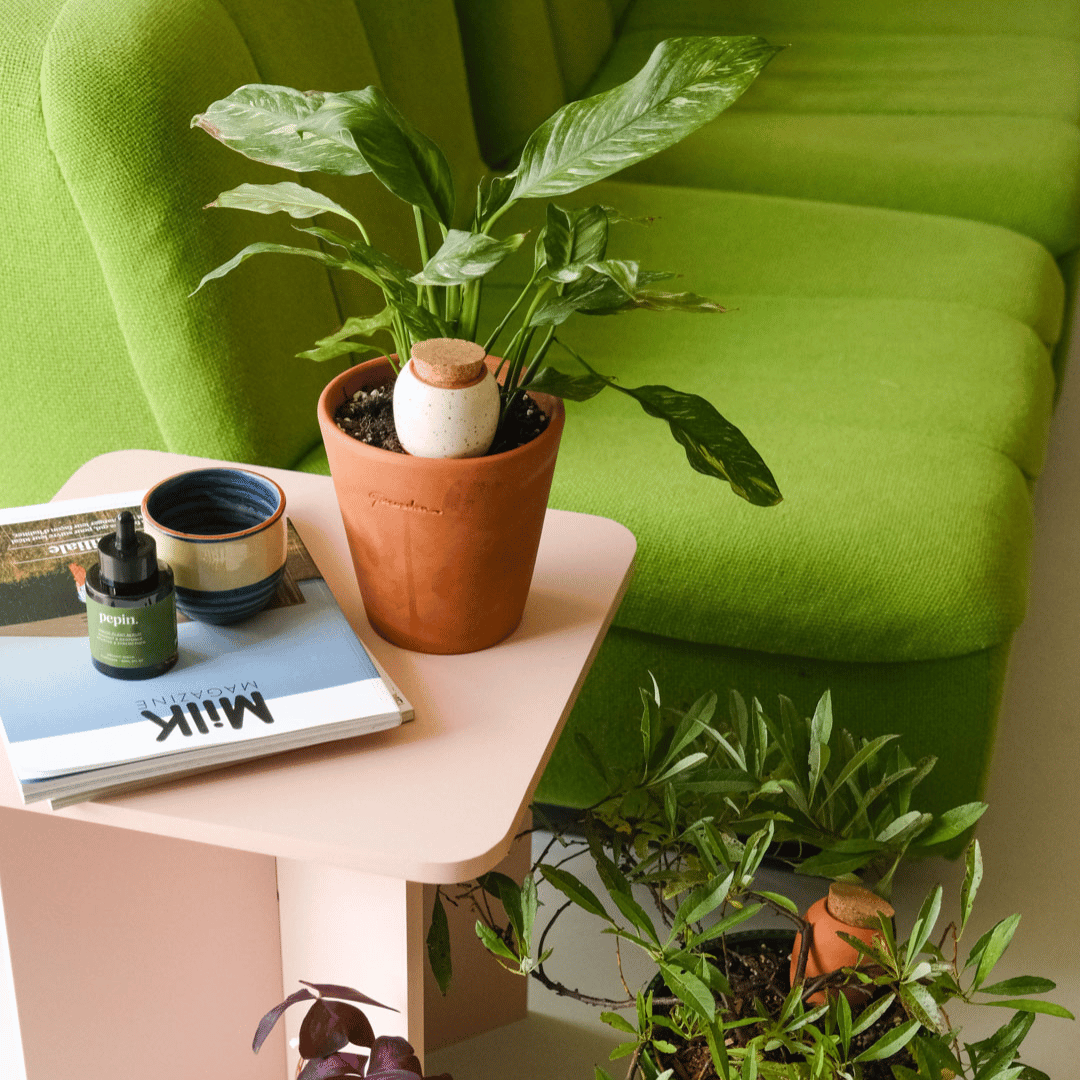 Pepin White Speckled Mini Olla in Plant Pot