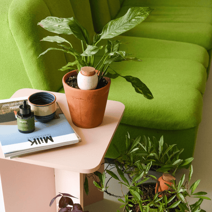 Pepin White Speckled Mini Olla in Plant Pot