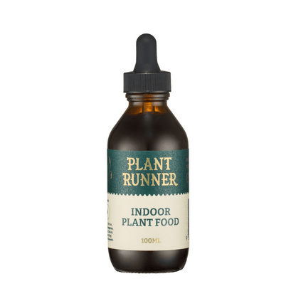 Plant Runner Indoor Plant Food 100ml Dropper Bottle