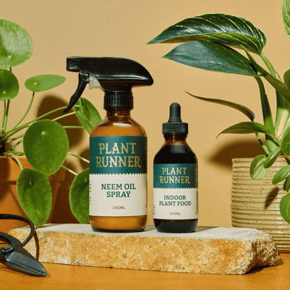 Plant Runner Neem Oil & Indoor Plant Food Bottles on Slab