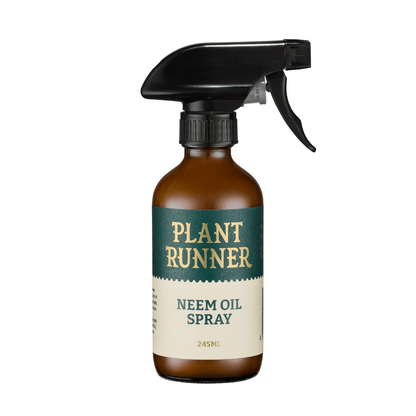 Plant Runner Neem Oil Foliage Spray Bottle
