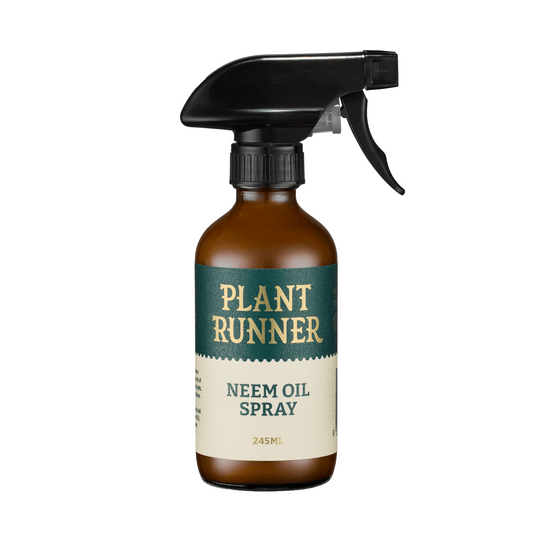 Plant Runner Neem Oil Foliage Spray Bottle