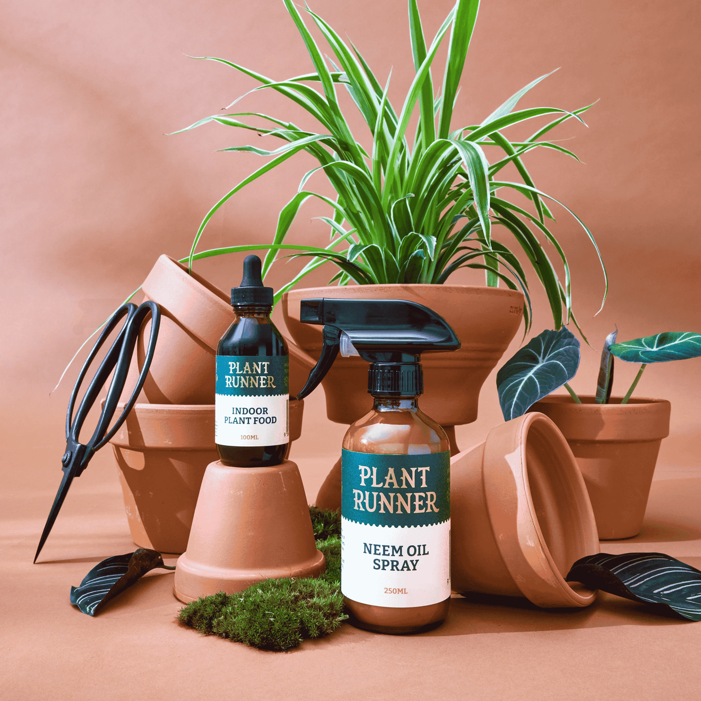 Plant Runner Plant Care Essentials Products with Terracotta Pots