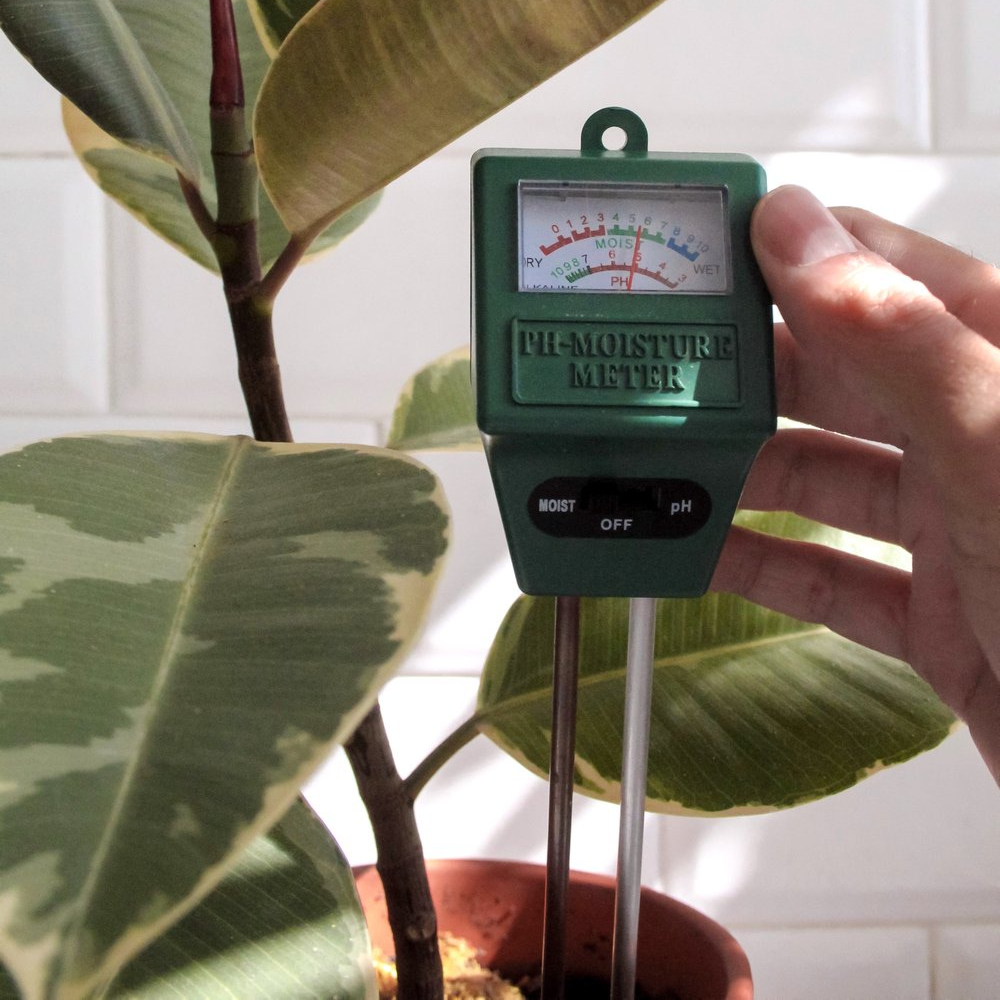 Plant pH & Moisture Meter