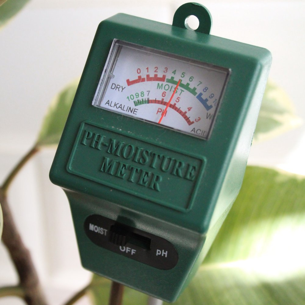Soil pH & Moisture Meter Reading