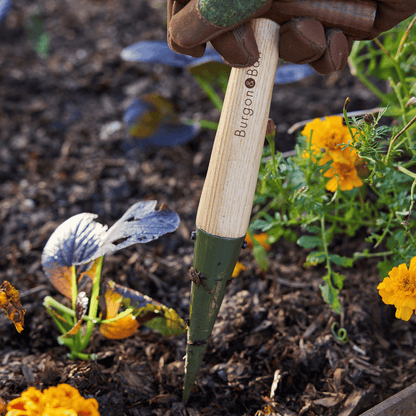 Planting with Burgon & Ball RHS BoronGreen Dibber