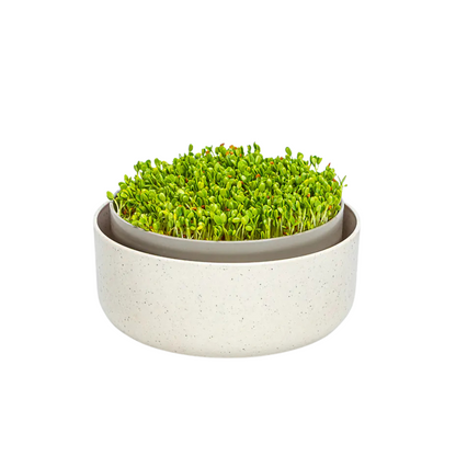 Plastia Microgreens Sprouting Tray Finish