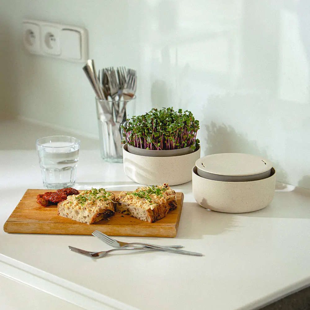 Plastia Microgreens Sprouting Tray Kitchen