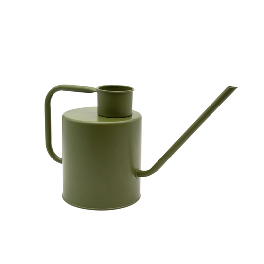 Merlino 2L Indoor Watering Can, Avocado