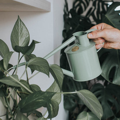 Pouring Haws Sage Indoor Watering Can