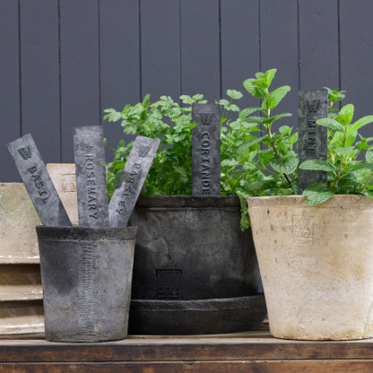 Pressed Tin Herb Plant Labels in Pots