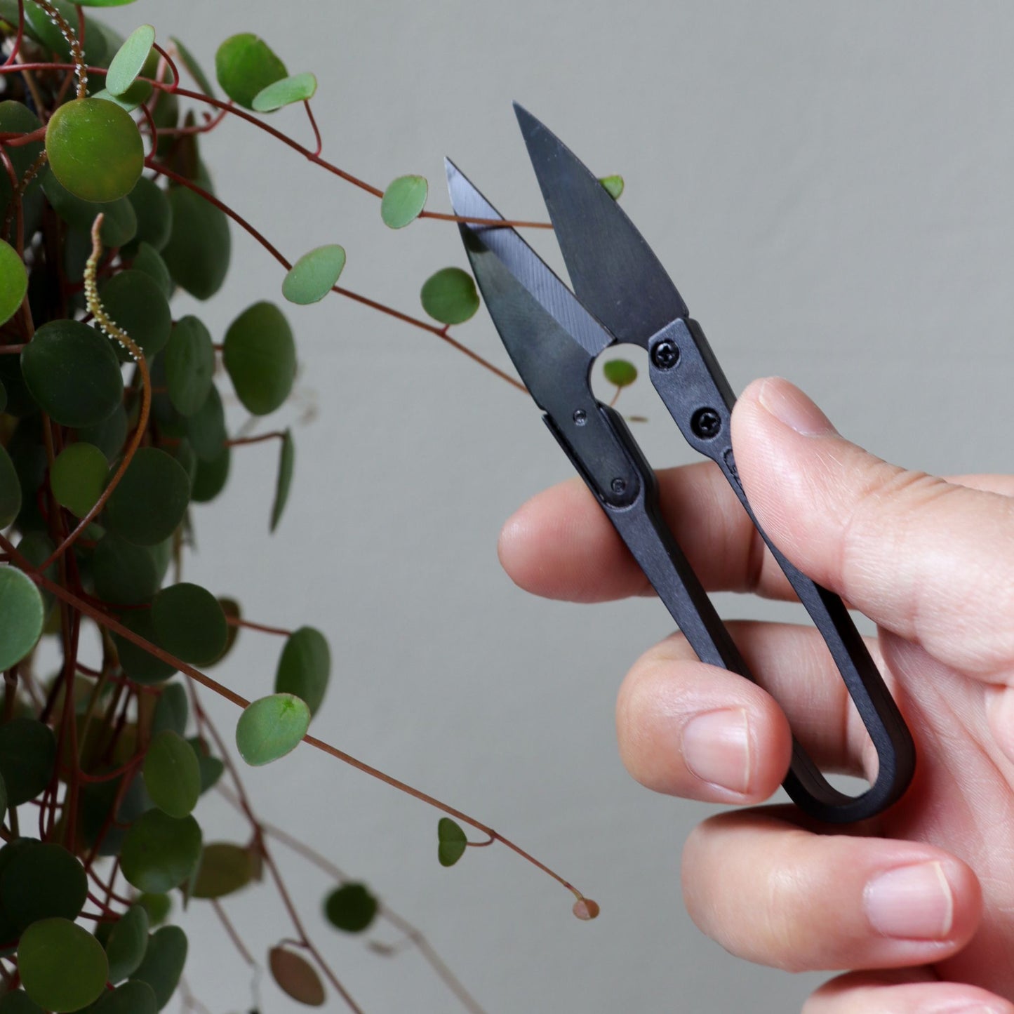 Pruning with Botanopia Mini Snips