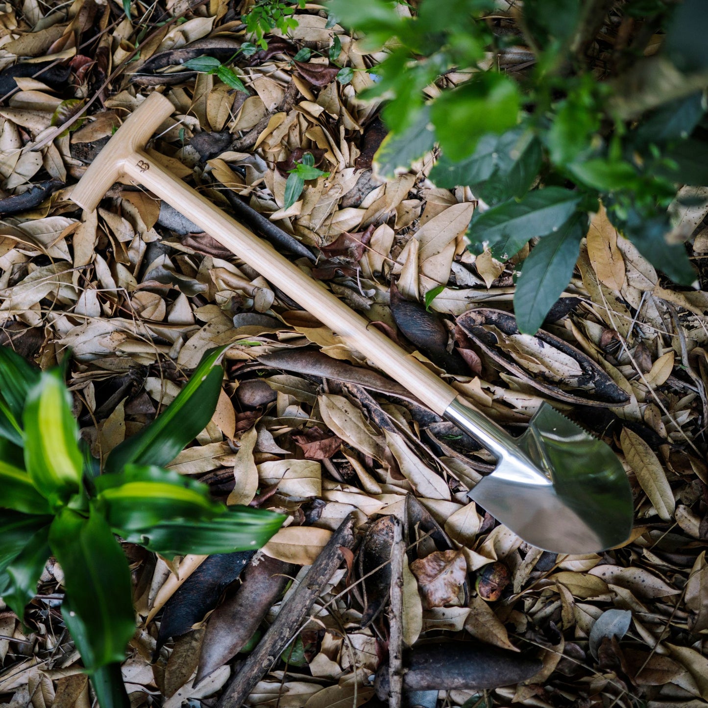 Quality Small Garden Spade on Leaves