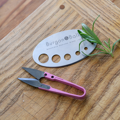 Burgon & Ball RHS 'Asteraceae' Herb Snips and Stripper