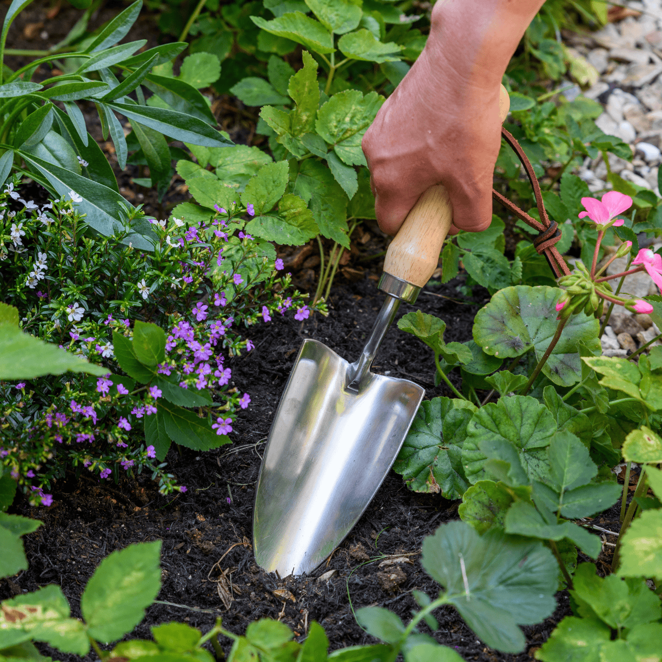 RHS Garden Hand Trowel