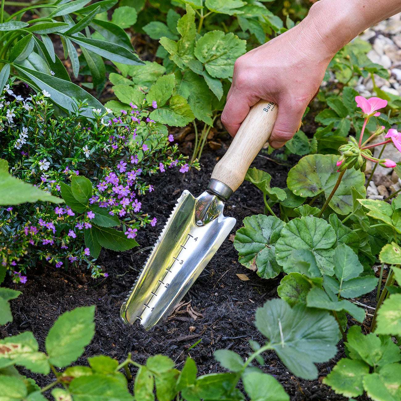 RHS Weeding Trowel for Gardening