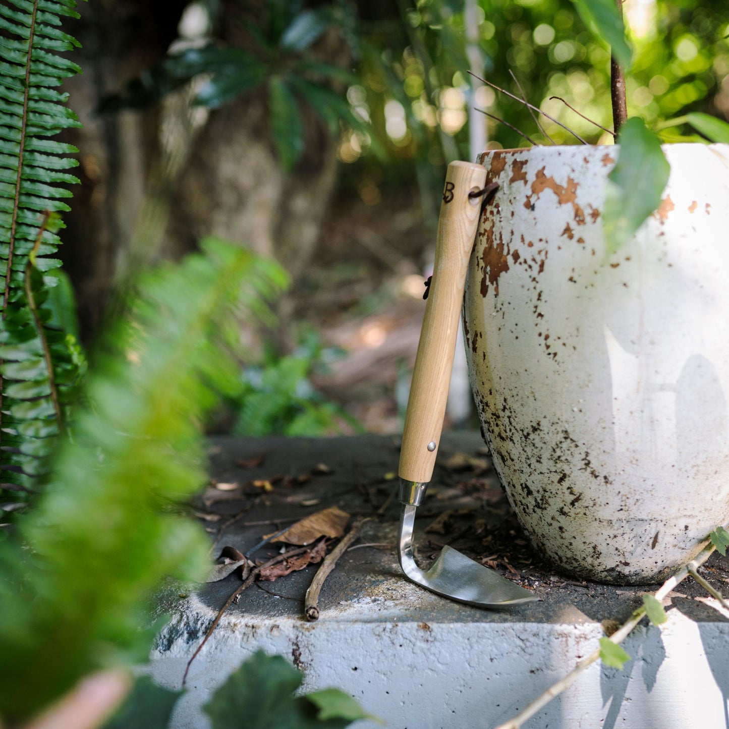 Razor Hoe Tool on Garden Pot