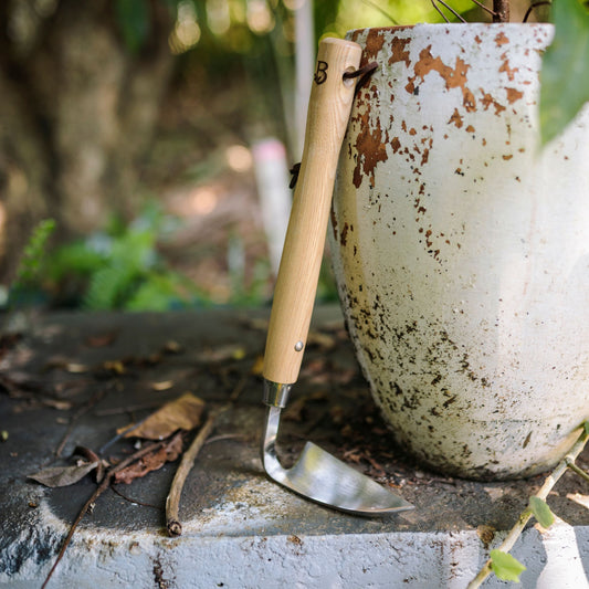 Razor Hoe Tool on Garden Pot Close