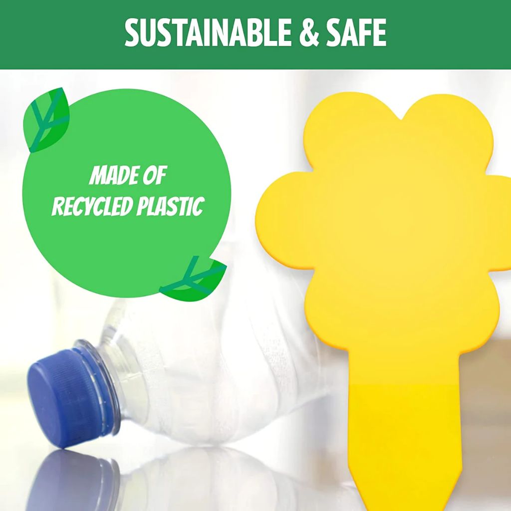 Sustainable Recycled Plastic Fungus Gnat Traps