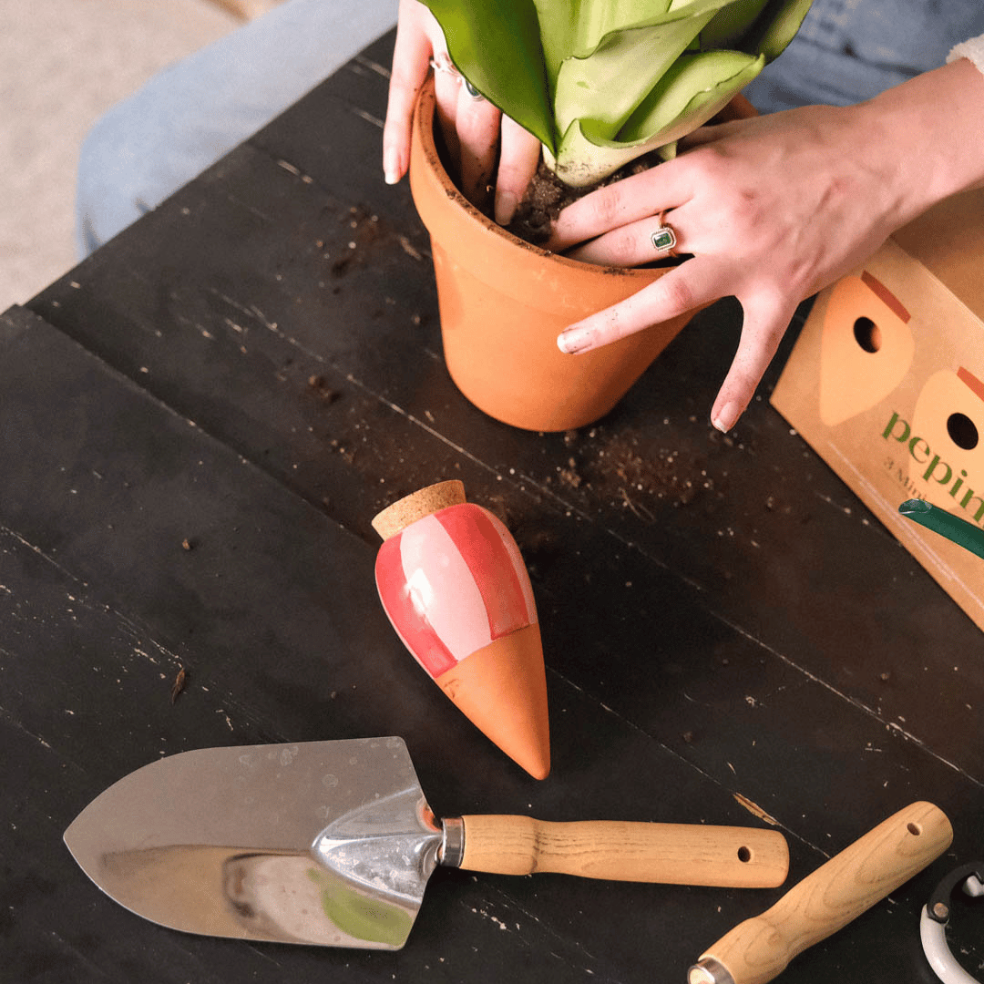 Red Striped Mini Olla on Potting Bench
