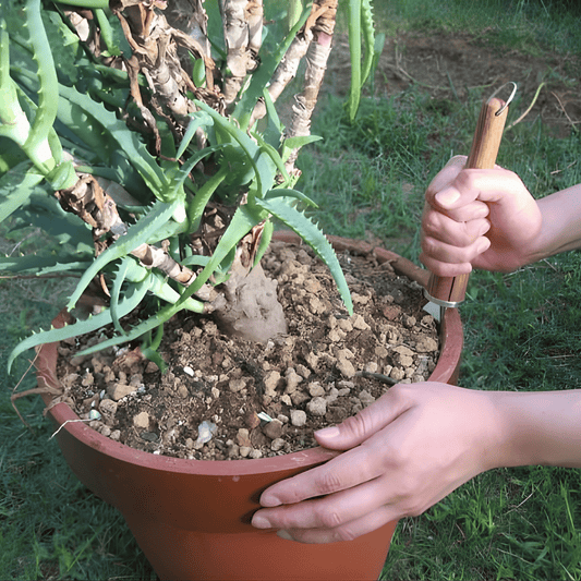 Repotting Plant with Nisaku 1201 Japanese Repotting Master