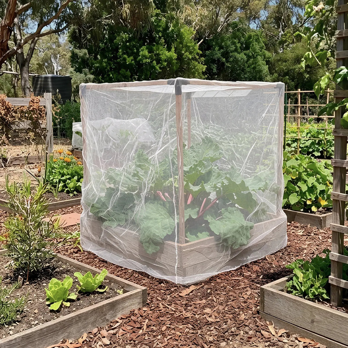 Insect Netting