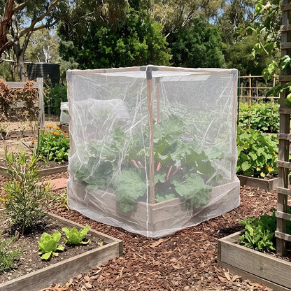 Insect Netting