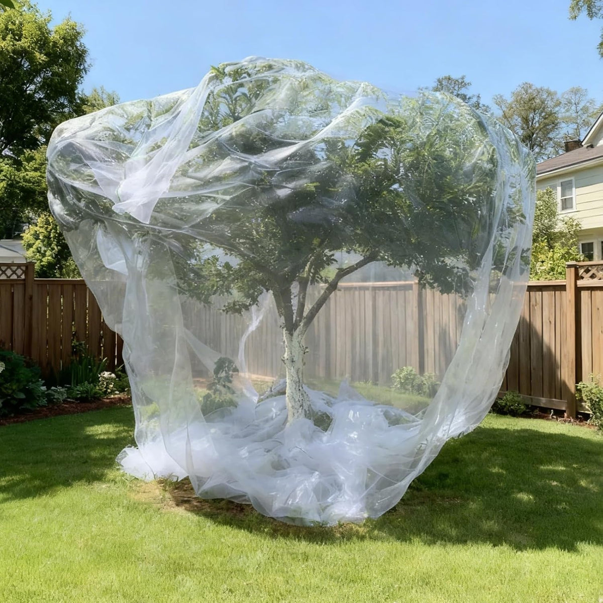 Insect Netting