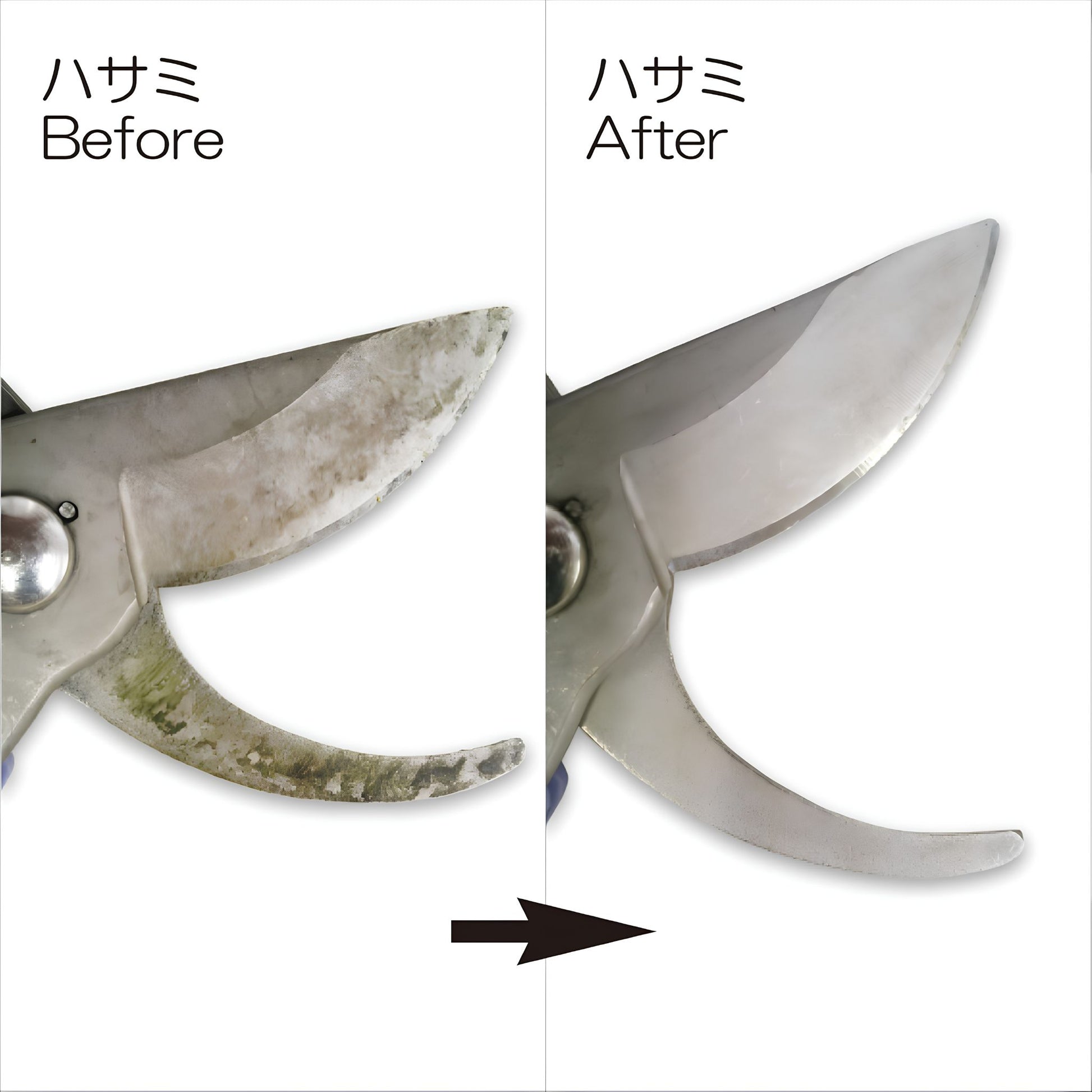 Secateur Cleaning Before & After