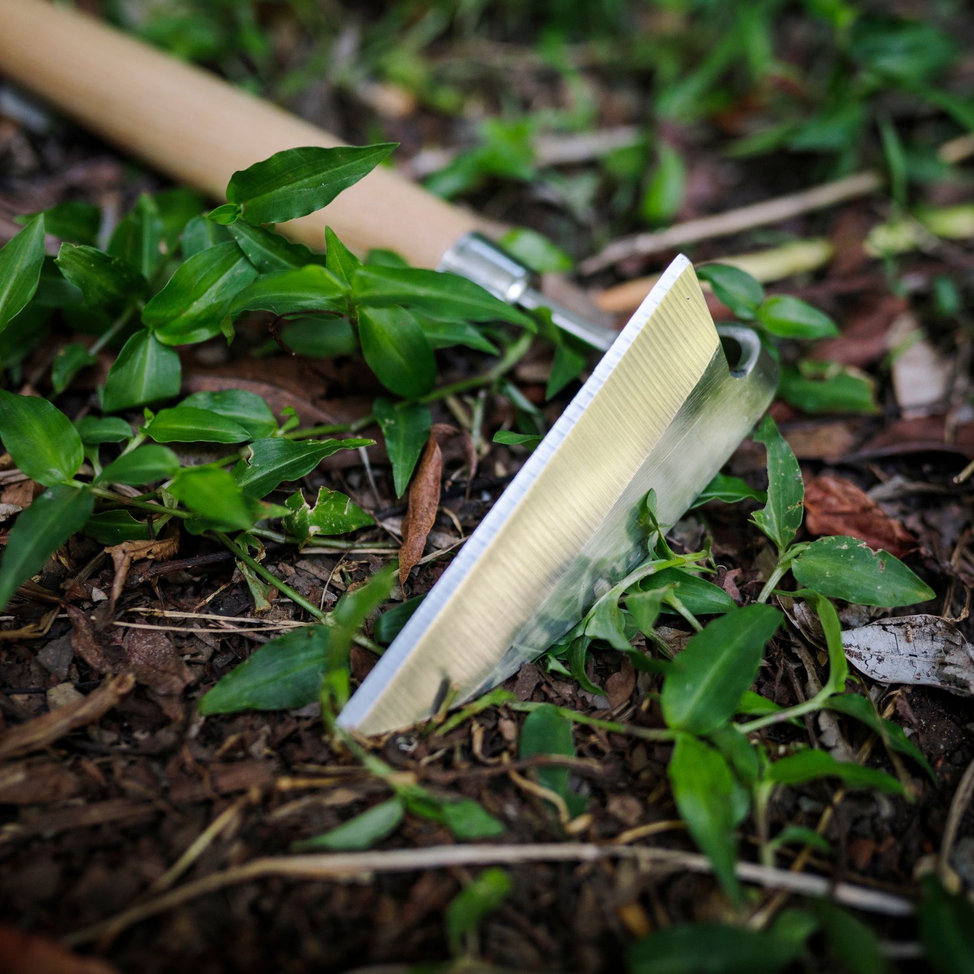 Sharp Blade on Stainless Steel Razor Hoe Garden Tool
