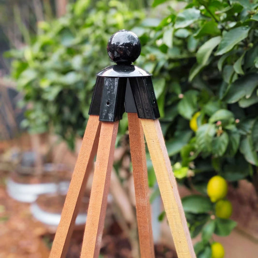 Simple Garden Structure Using Steel Finial and Wooden Stakes