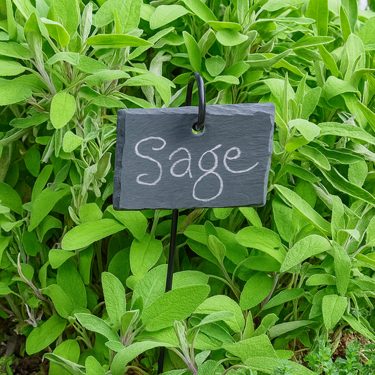 Slate Hanging Plant Label for Herbs, Vegetables or General Plants
