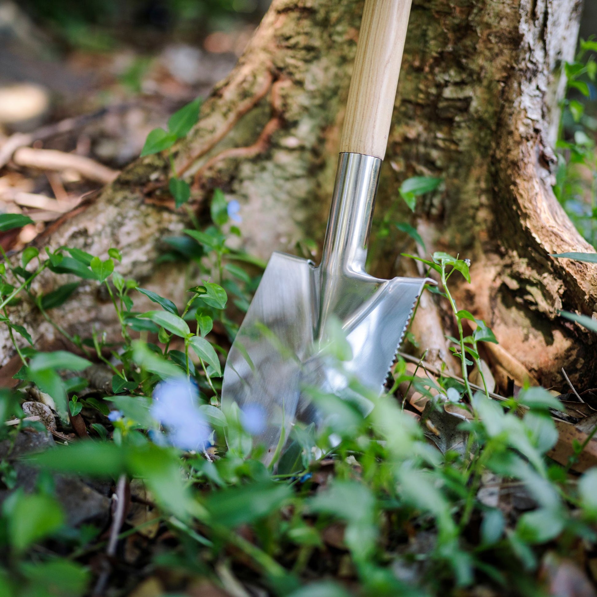 Small Garden Spade with Serrated Edge