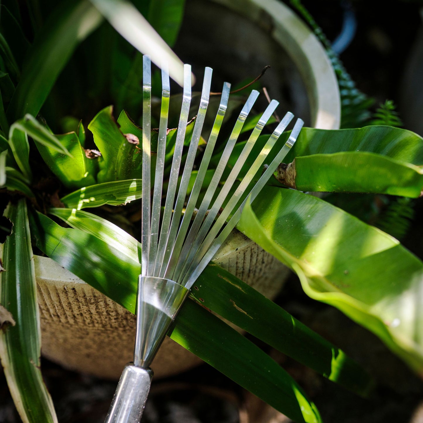 Stainless Steel Garden Shrub Rake