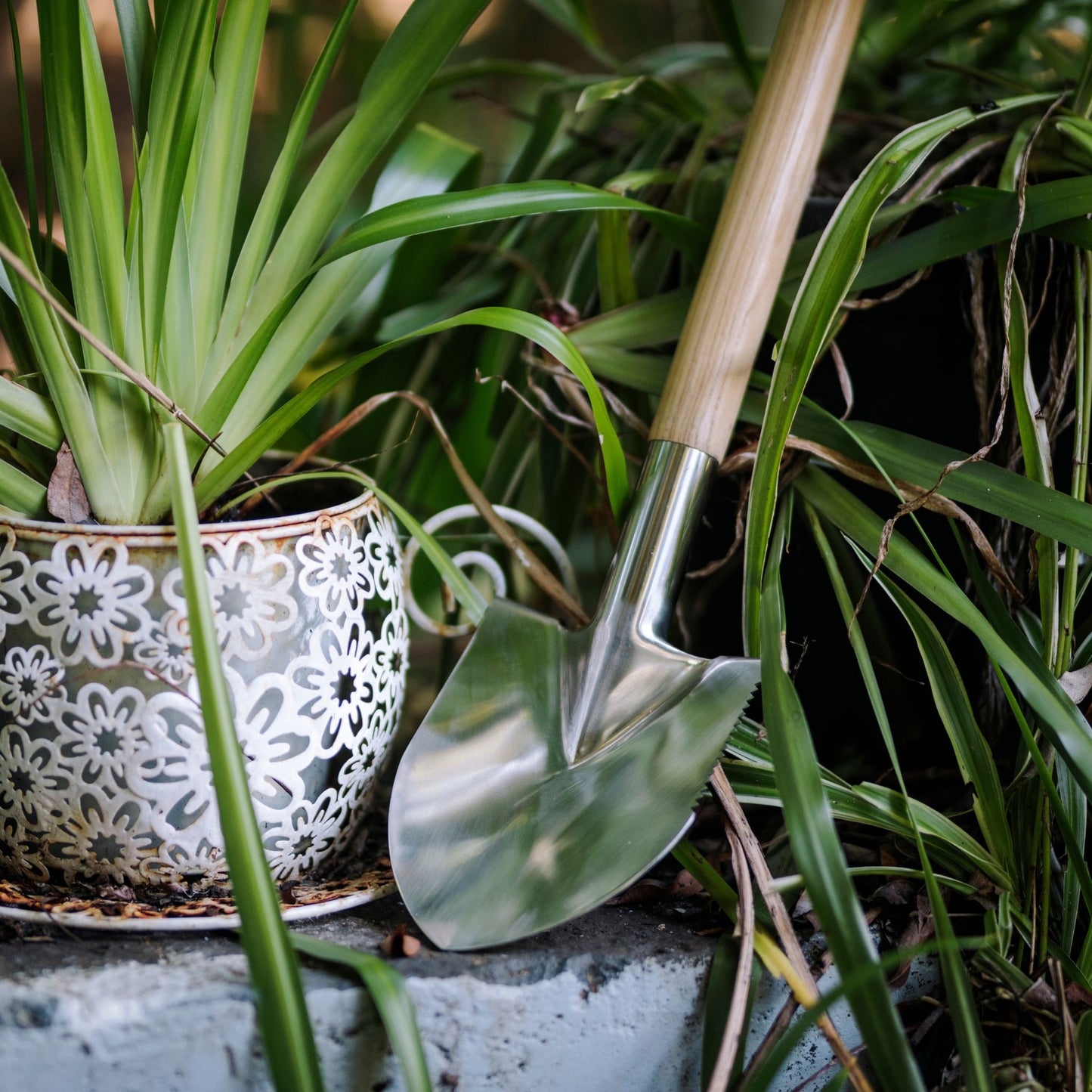 Stainless Steel Mini Garden Spade