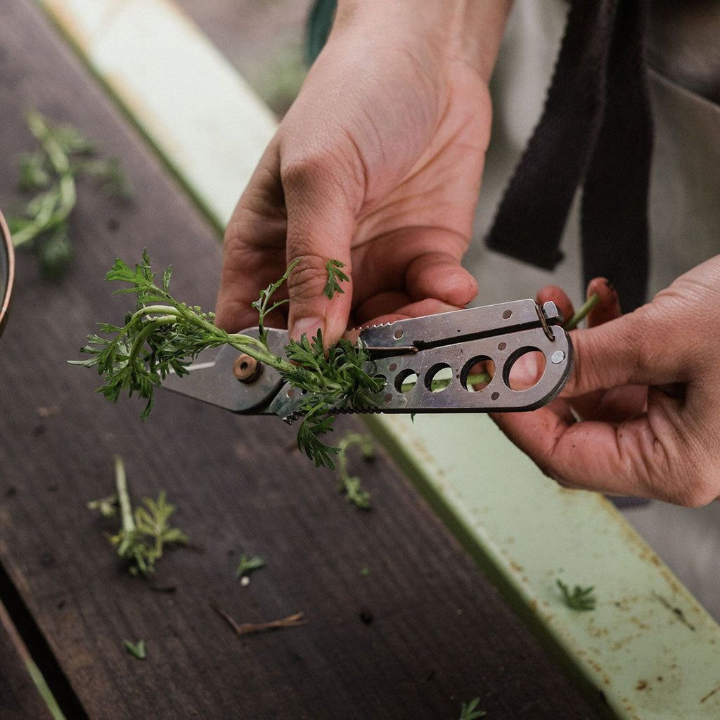 Stripping Herbs with Barebones Tool