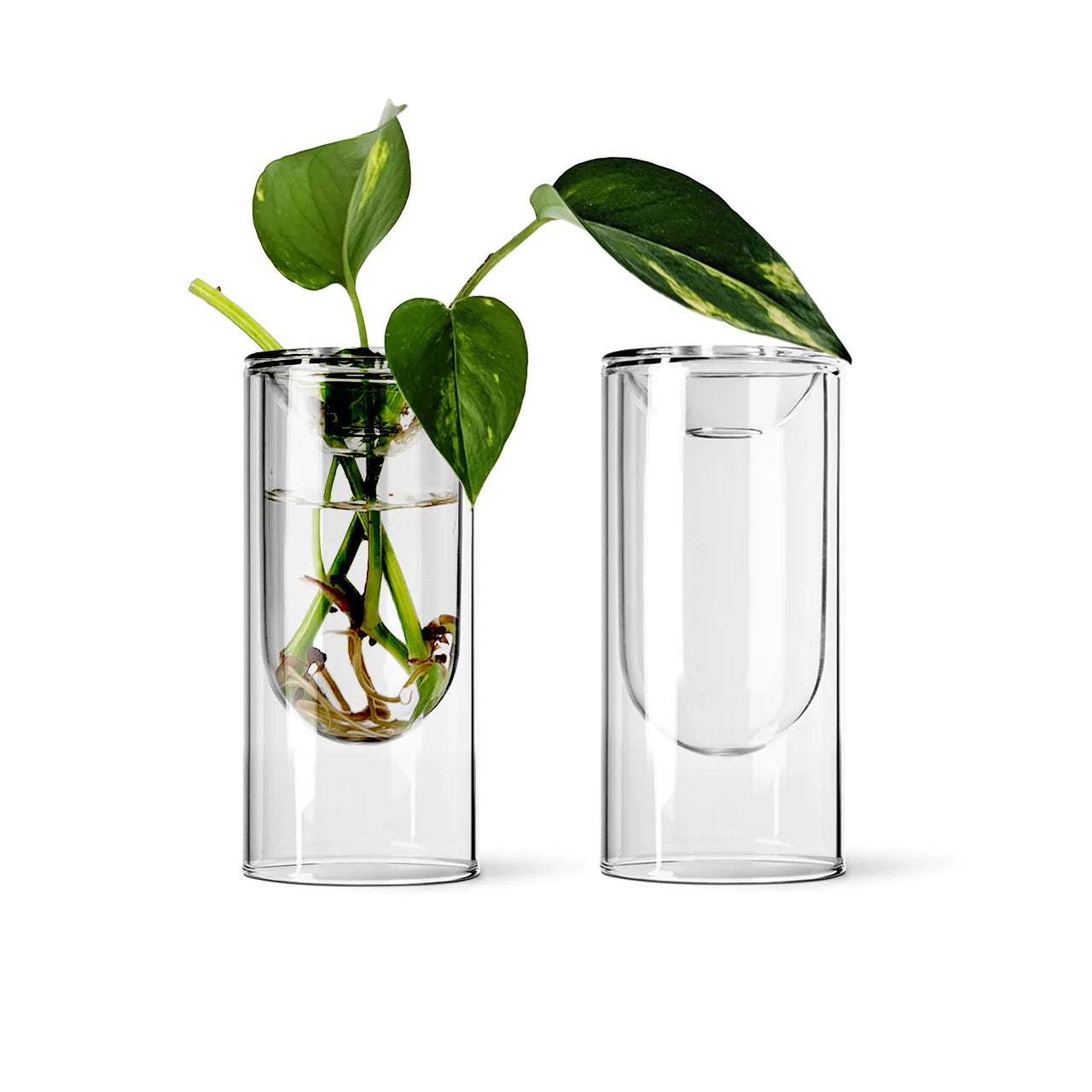 Propagation Vase Small, Set of 2