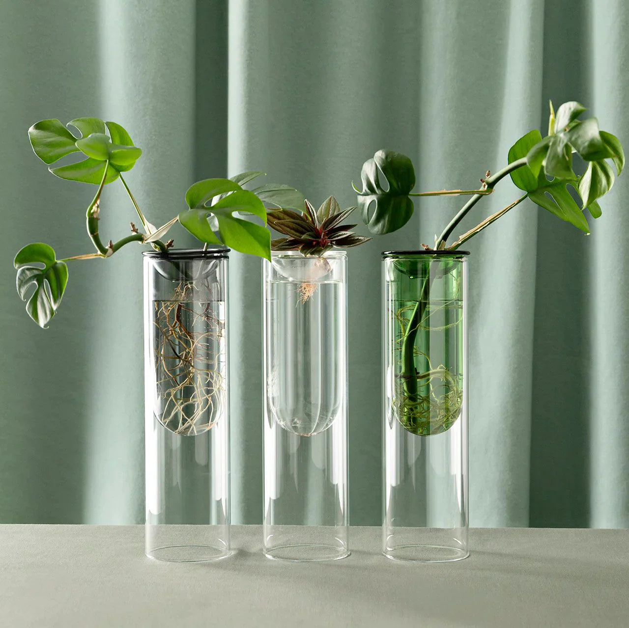 Studio Millgram Propagation Vases