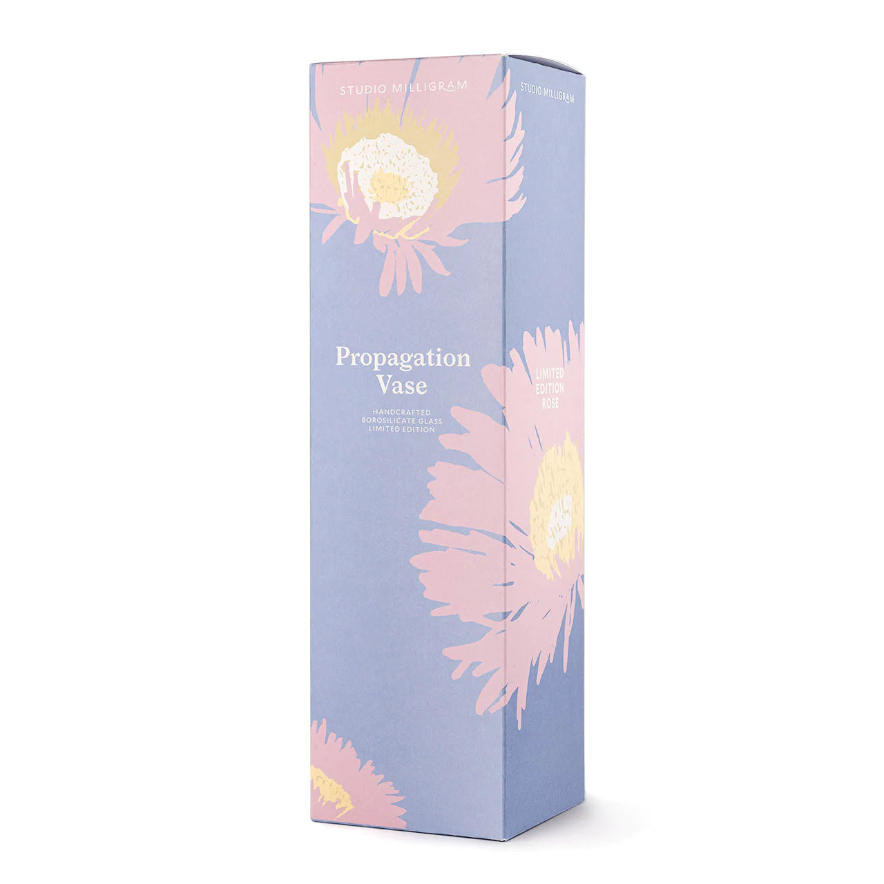 Rose Propagation Vase Gift Box
