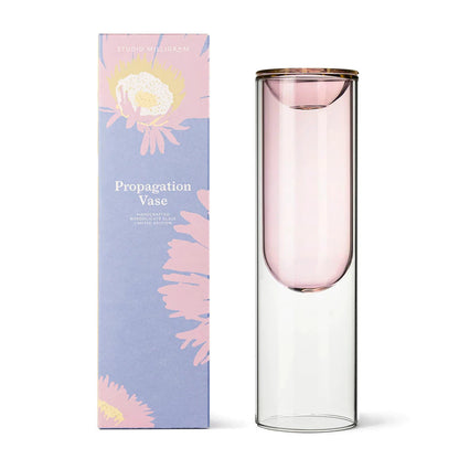 Rose Propgation Vase & Gift Box