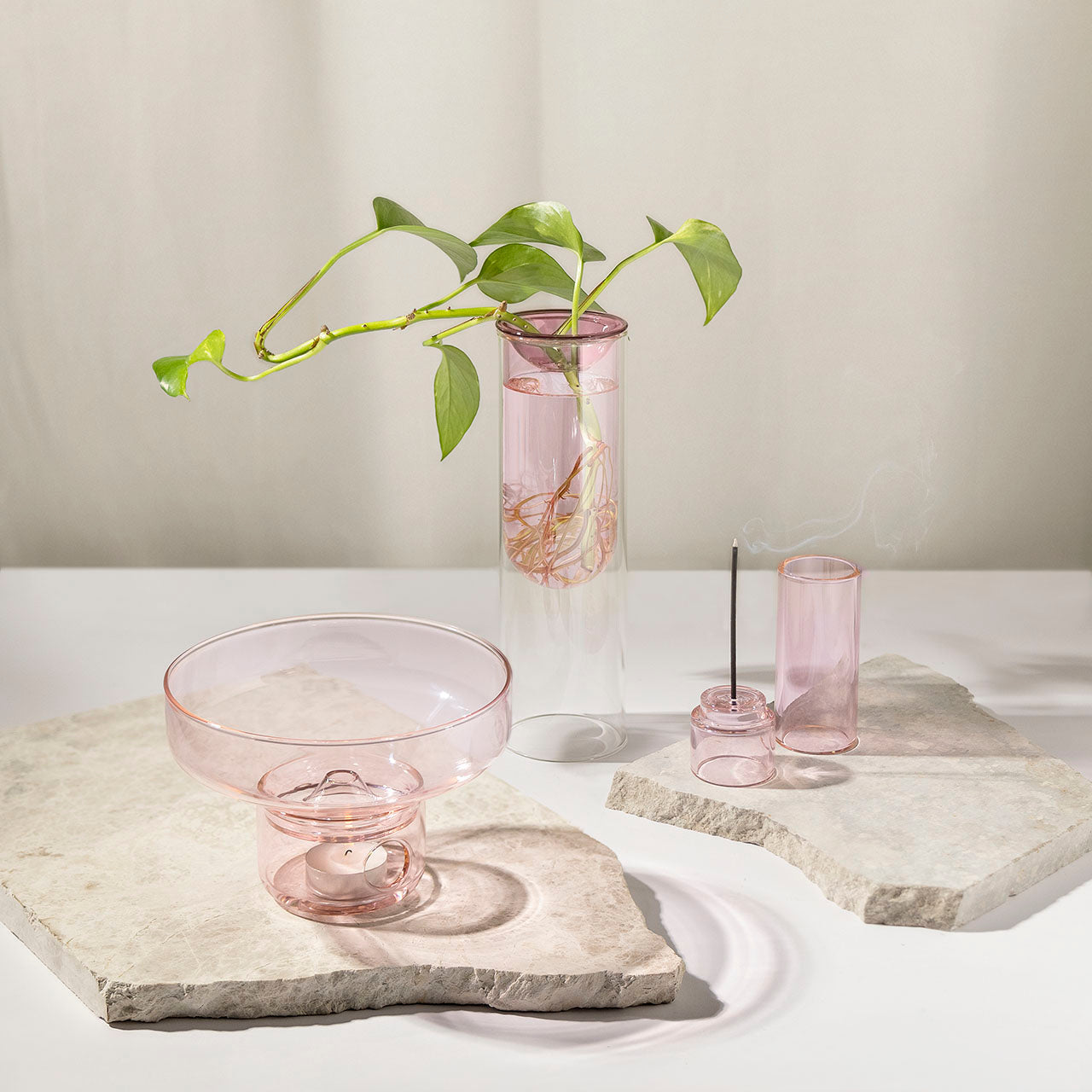 Rose Propgation Vase & Accessories