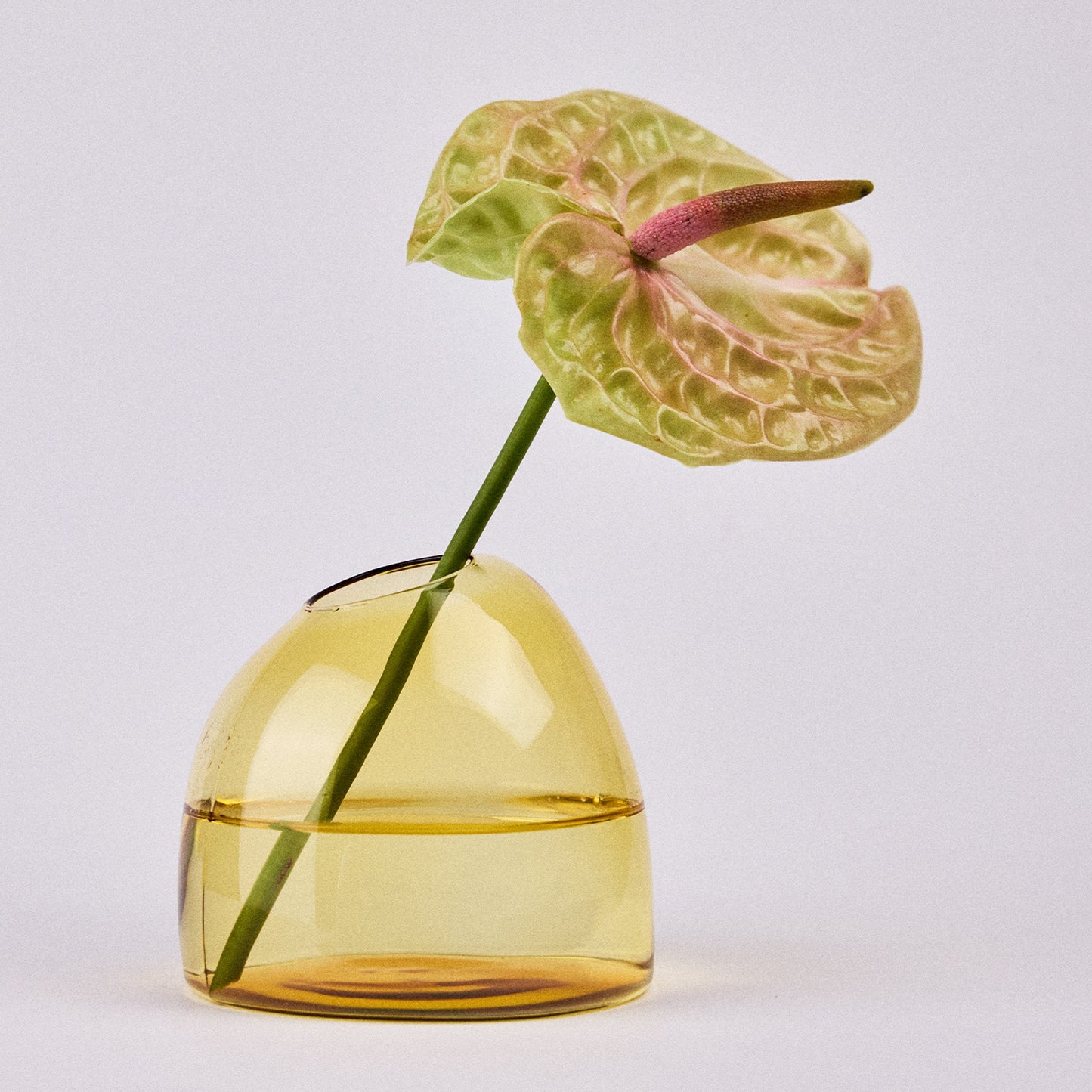 Studio Milligram Small Yellow Casper Vase with Flower