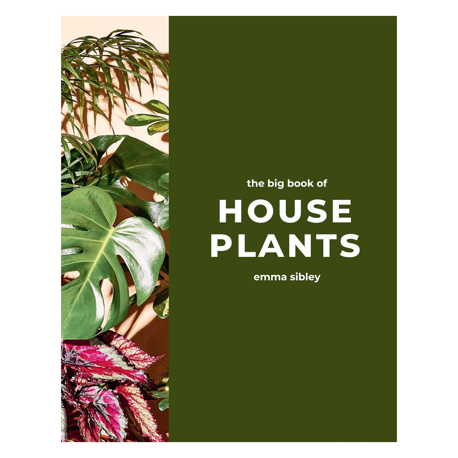 The Big Book of Houseplants Emma Sibley Cover