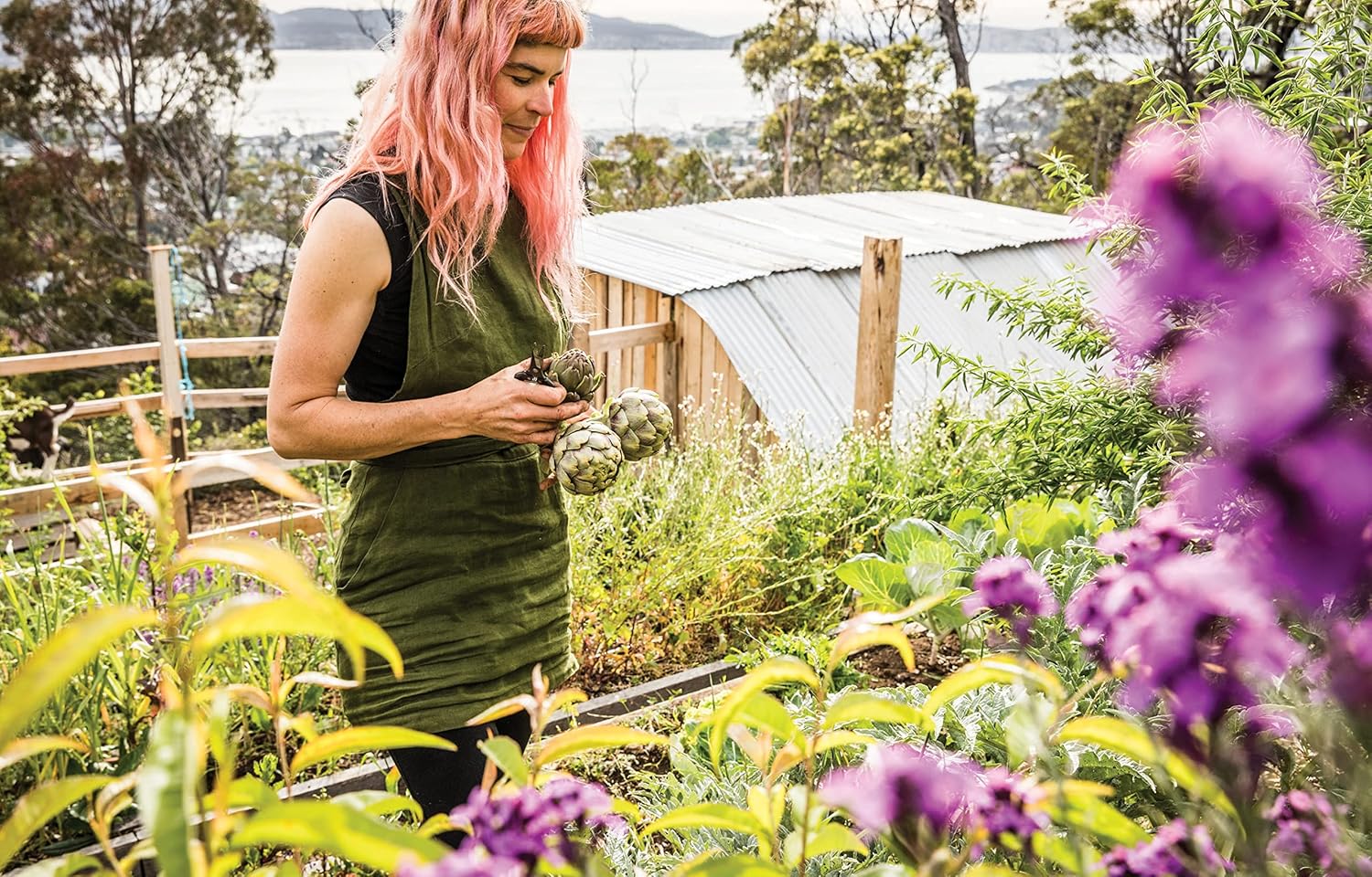 The Good Life, Hannah Moloney - Photo Page