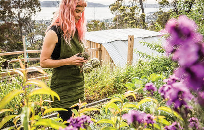 The Good Life, Hannah Moloney - Photo Page