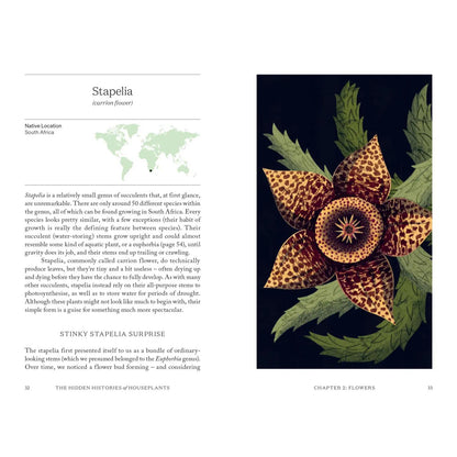 The Hidden Histories of Houseplants - Stapelia